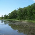 Indian Springs pond is located in the Waukon city park and receives drainage from 986 acres of agricultural land and 294 acres from the city of Waukon.