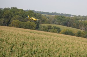 flying on cover crop jpg