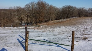 Waterloo Fence - pasture mgmt