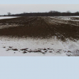 Winter application of manure is generally not recommended due to potential nutrient losses and water quality degradation. However, if you do need to apply manure this winter because of limited […]