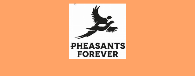 I’m Janet Borchardt, the new Pheasants Forever Farm Bill Wildlife Biologist covering Winneshiek, Allamakee, Fayette, and Clayton counties! I graduated from Luther College in 2024, where I studied biology and [&hellip;]